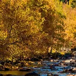 Pirineus Apartamento Sort