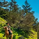 Apartamento Pirineus Sort