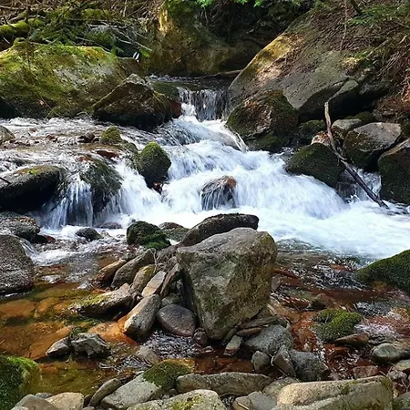 Pirineus Lejlighed