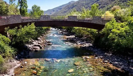 Pirineus سورت