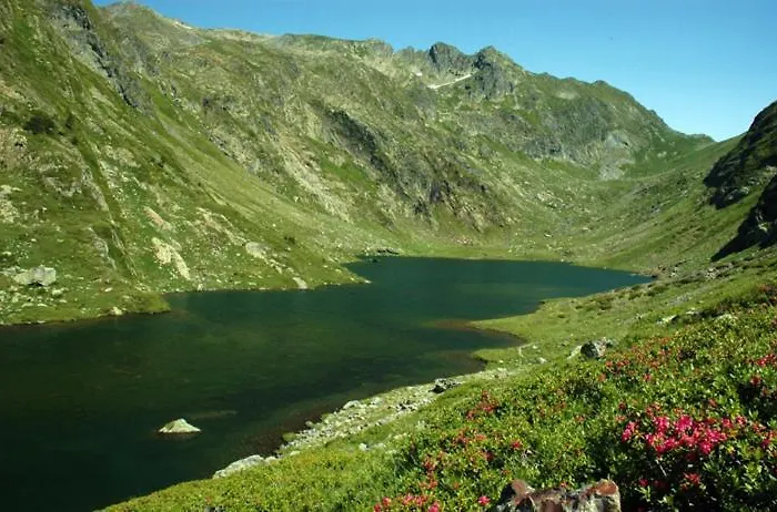 Pirineus