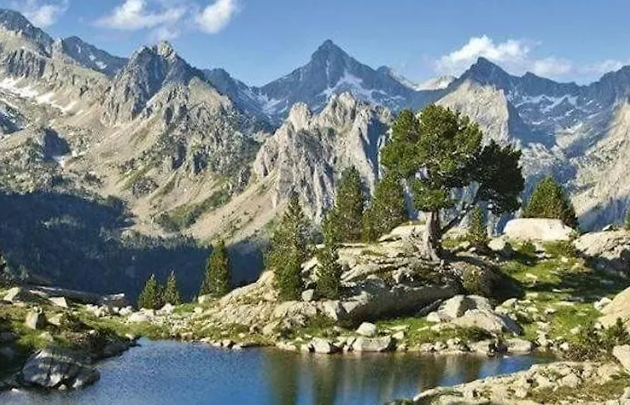 Appartement Pirineus *