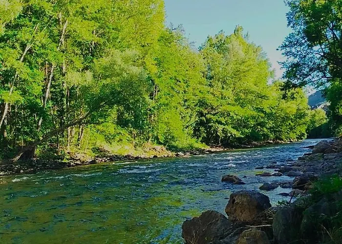 Pirineus سورت